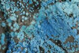 Vibrant Blue Cyanotrichite with Cubic Fluorite - China #238833-2